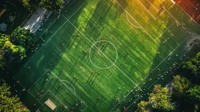 The Role of the Deep-Lying Playmaker in Tactical Systems