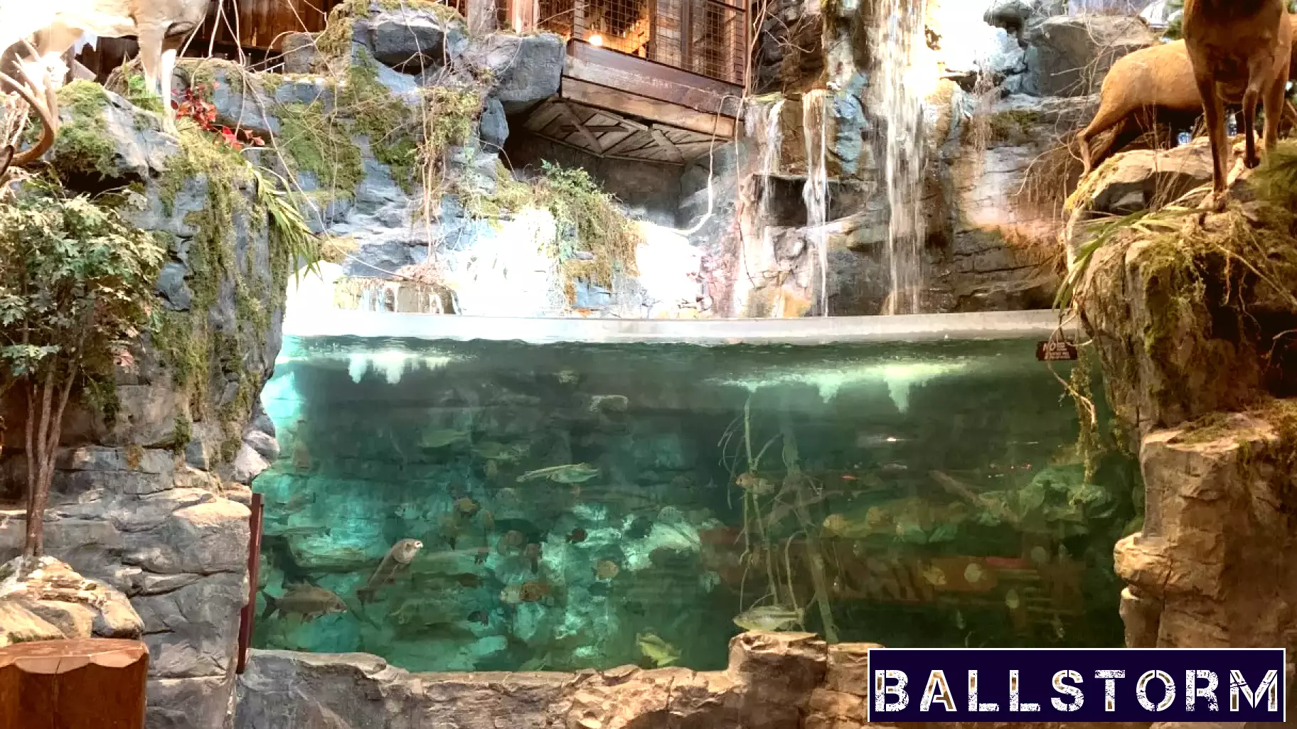 Bass Pro Shops Brings Jobs Back to Missouri with Hobie Acquisition