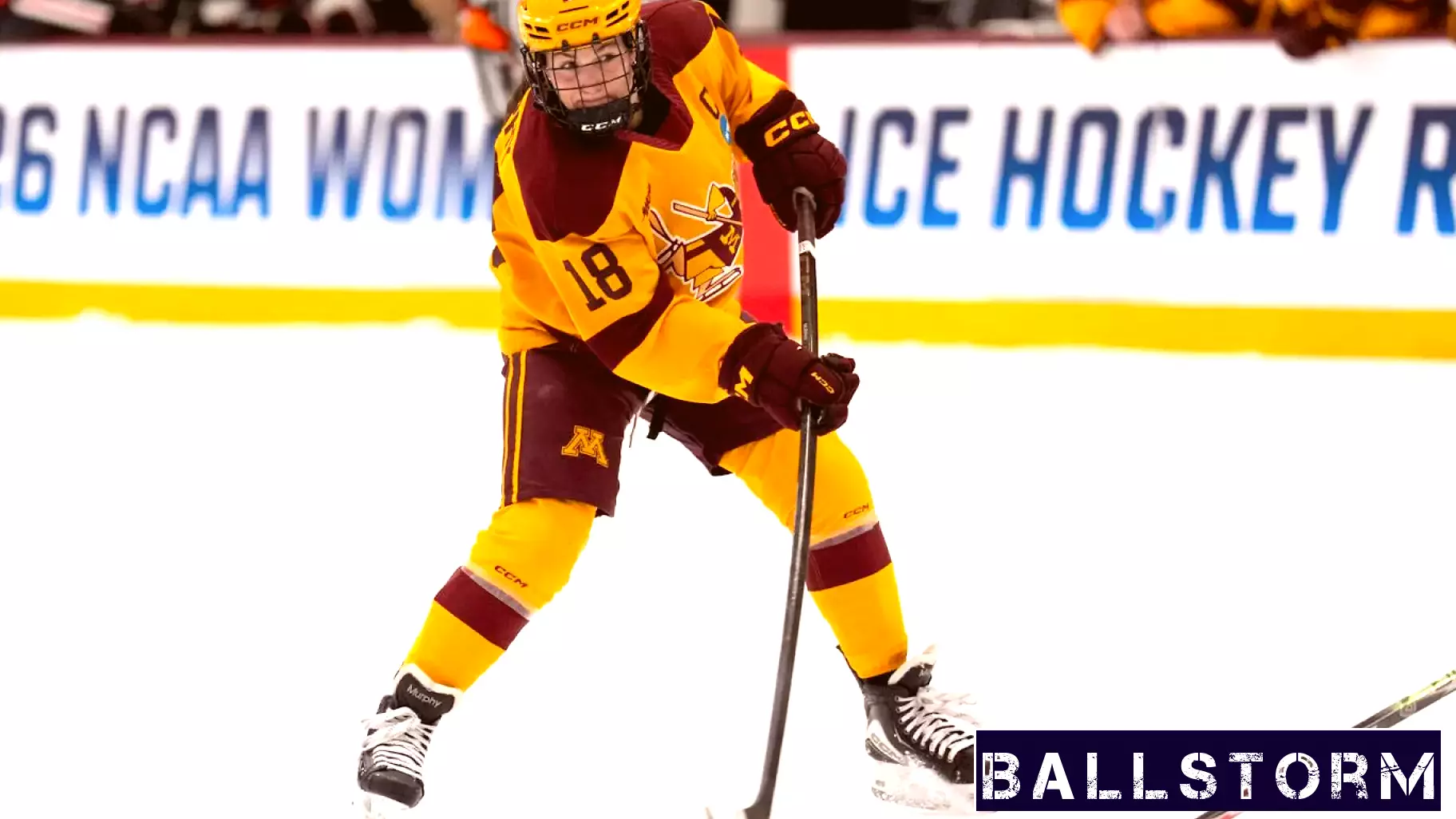 Reusse: Spotlight on Gophers women’s sports is a welcome sight