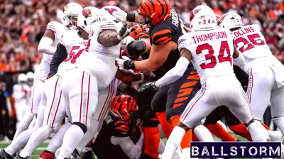 Breakdown of Snap Counts for Cardinals' Defense and Special Teams in Week 17