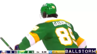 Highlights from the Minnesota Wild and New York Islanders Matchup