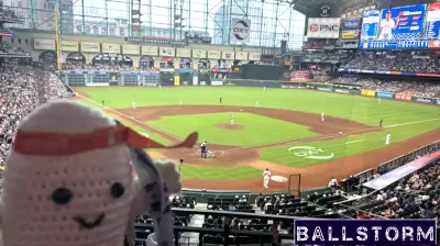 Wrestling with Pigs